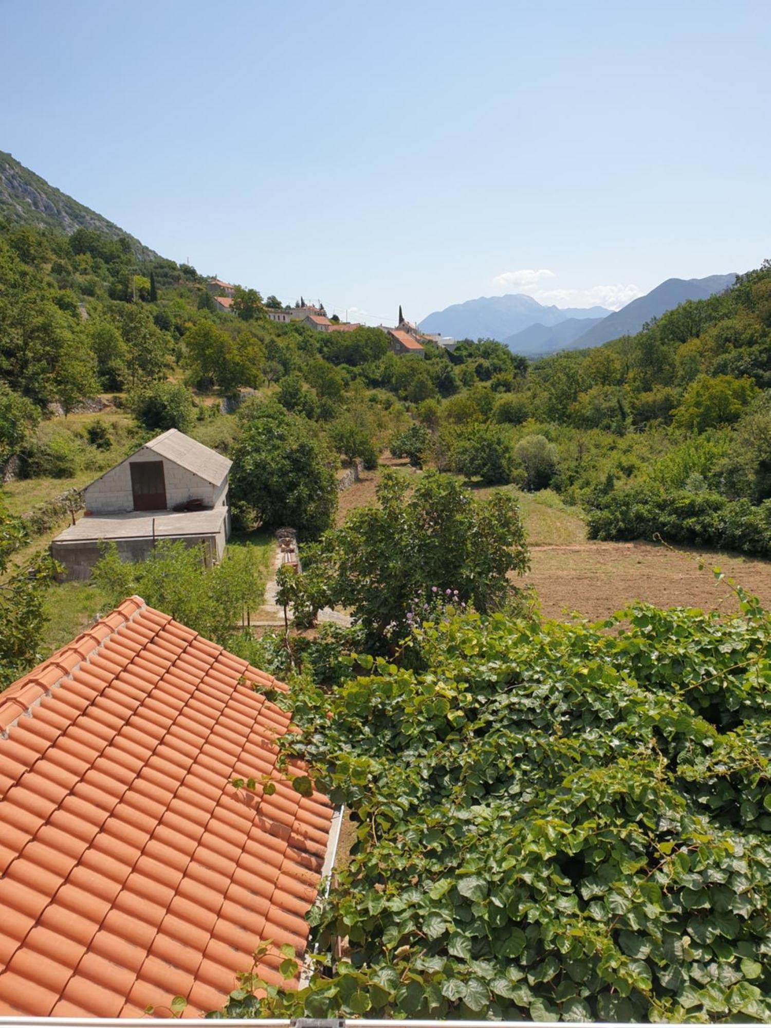 Apartman Nature Zvecanje Exterior foto